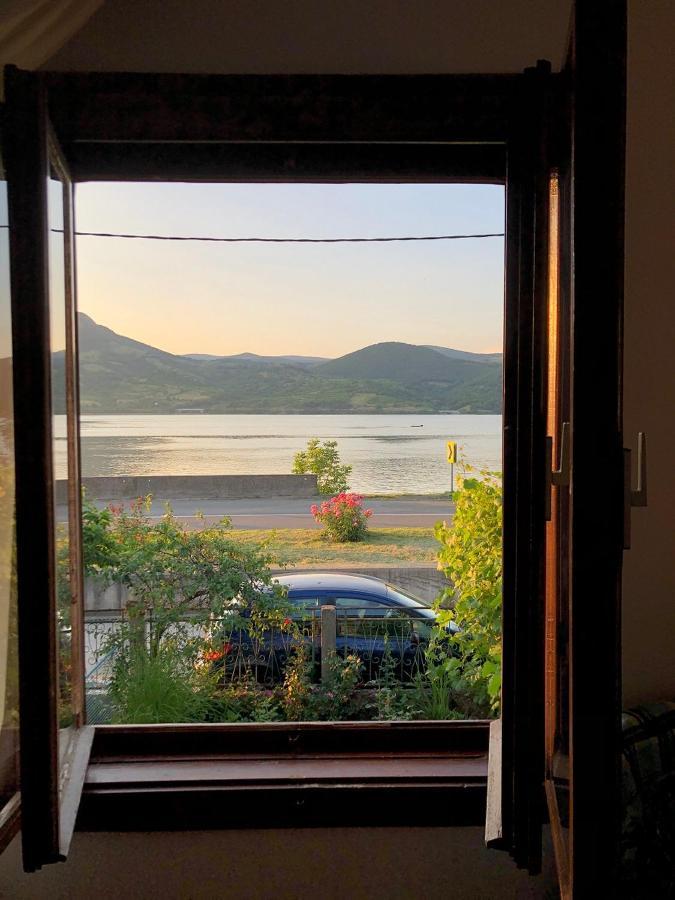 Apartman Velojic Donji Milanovac Extérieur photo