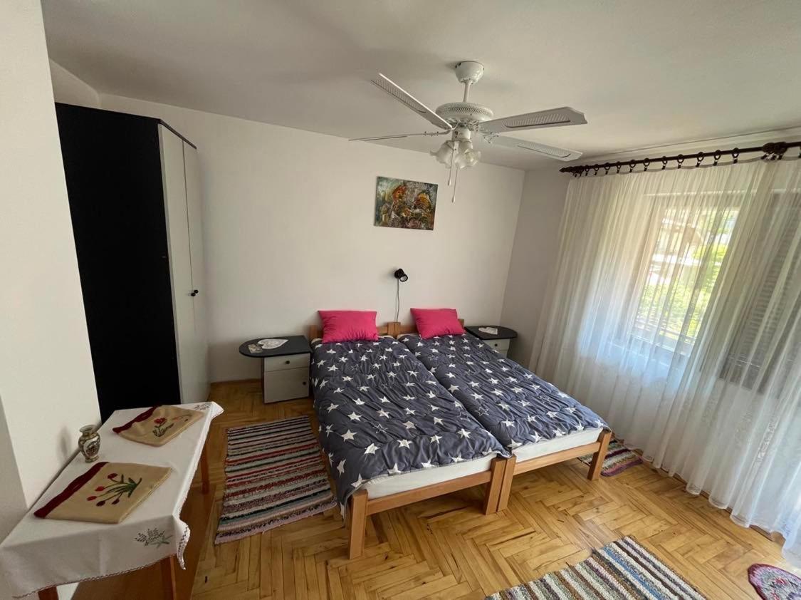 Apartman Velojic Donji Milanovac Extérieur photo